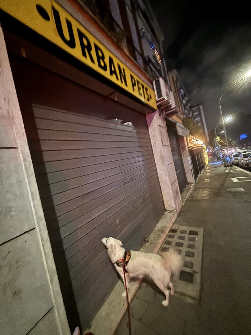 Urban Pets Roma
