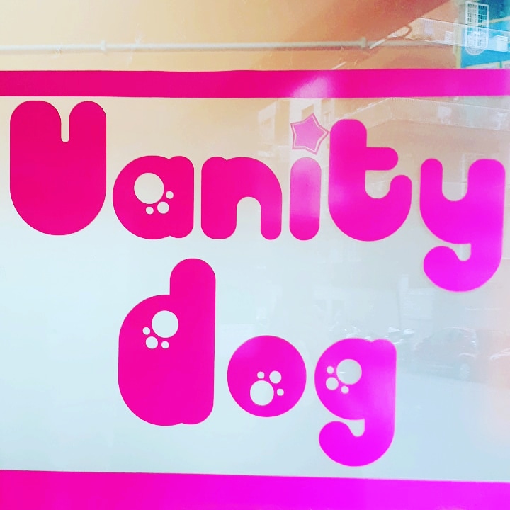 Vanity Dog