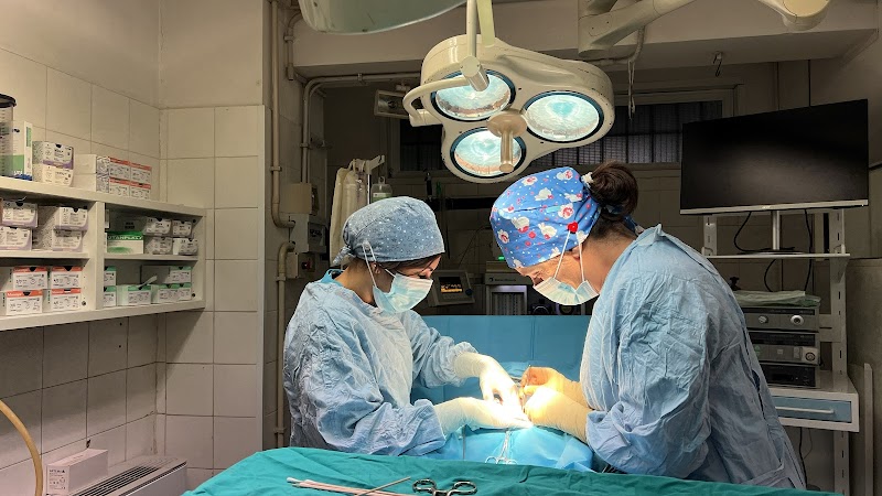 Diagnostica Veterinaria Roma Nord - Pronto Soccorso Veterinario H24- BluVet Gruppo Ca' Zampa