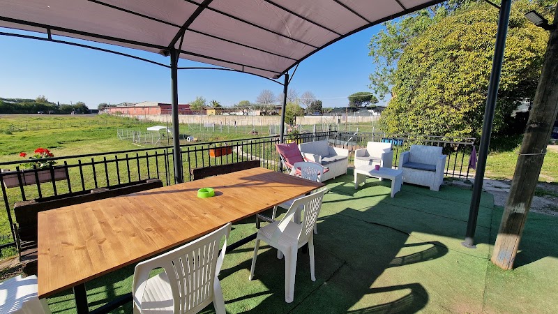 Centro Cinofilo Pet City Roma