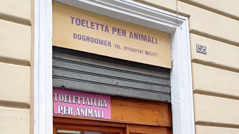 DoGroomer Toeletta per cani