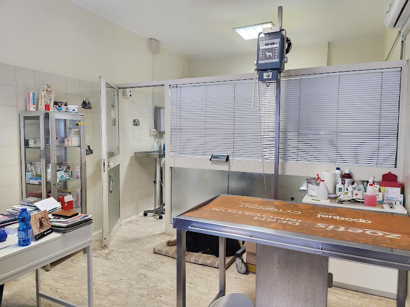 Veterinary clinic- Dr Giuseppe Haass