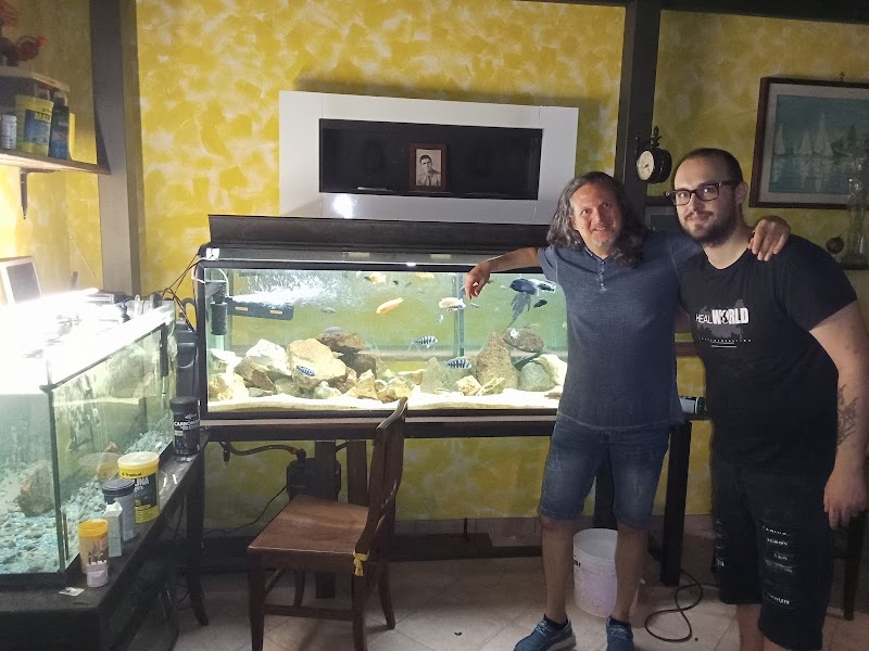 Ciclidi Africani: Allevamento e Vendita dei Pesci Per Acquario di Cichlidream