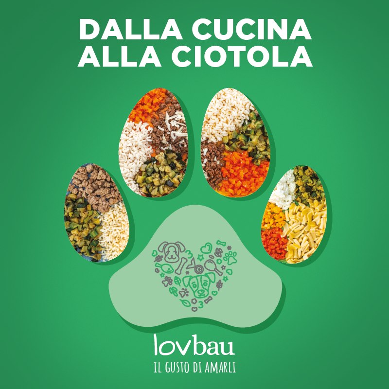 Lovbau " il piatto pronto per la ristorazione "
