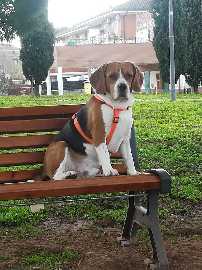 Oasi di Fido - Area Cani Pubblica