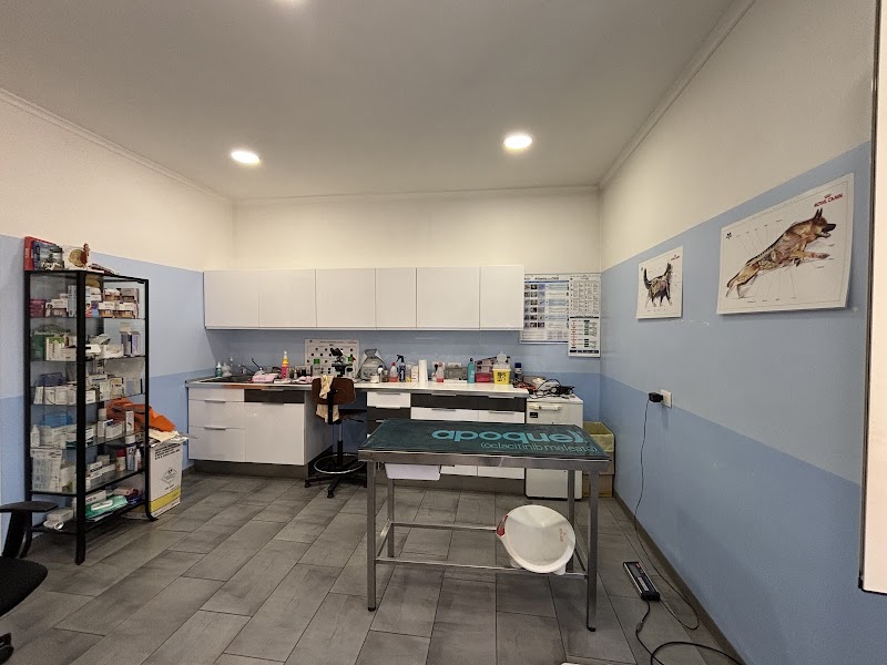 Ambulatorio Veterinario Torre Angela