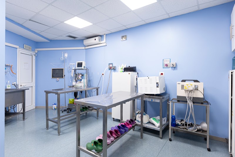 Ospedale Veterinario Croce Azzurra