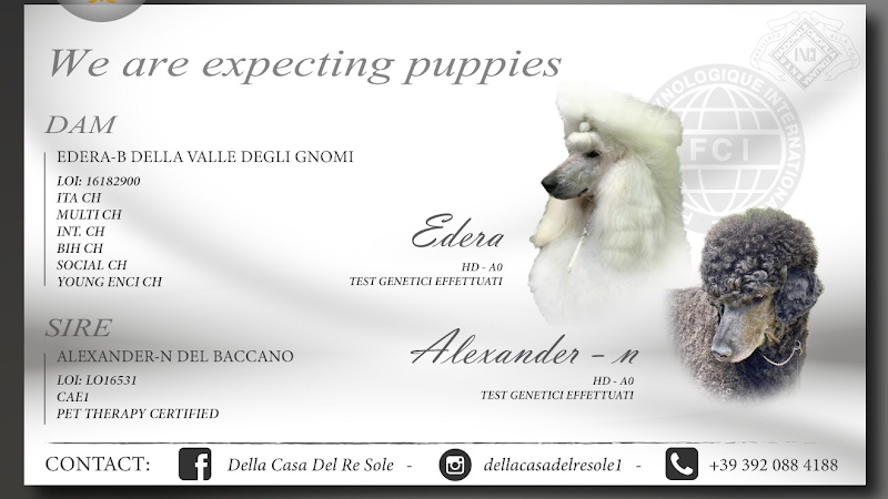 Tutti a Cuccia Toeletta Grooming School