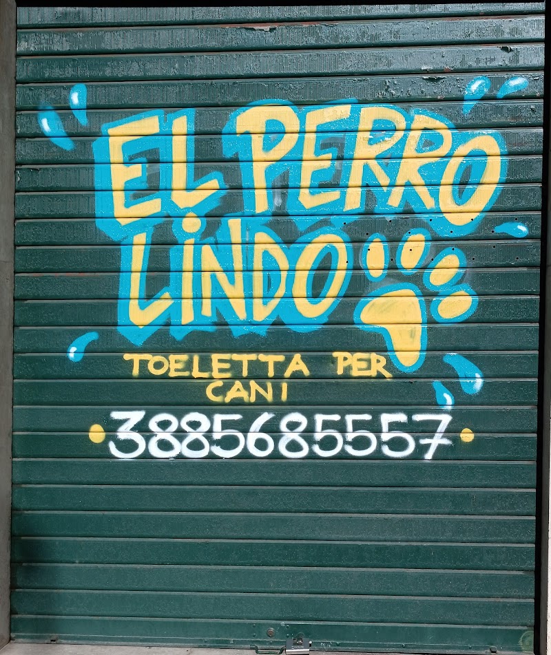 El Perro Lindo Toelettatura