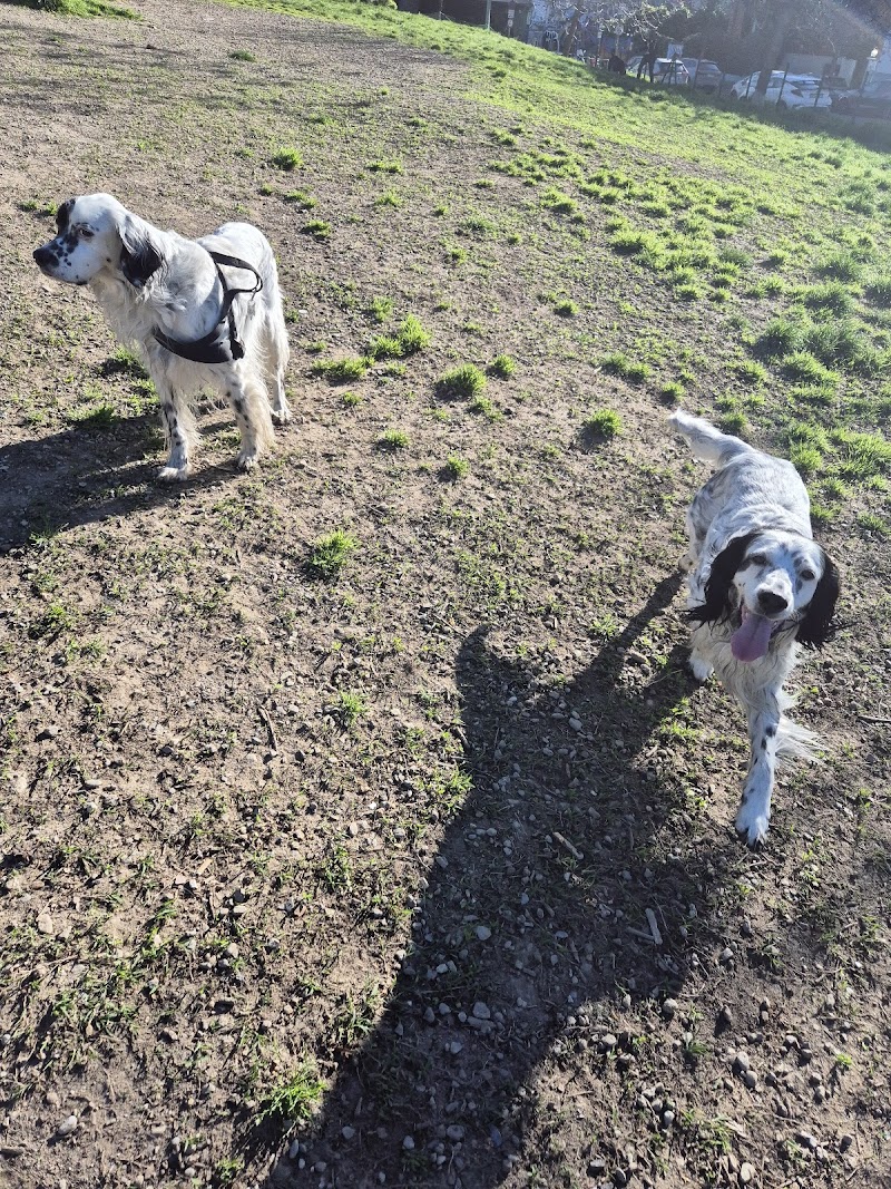 Mondo Cane