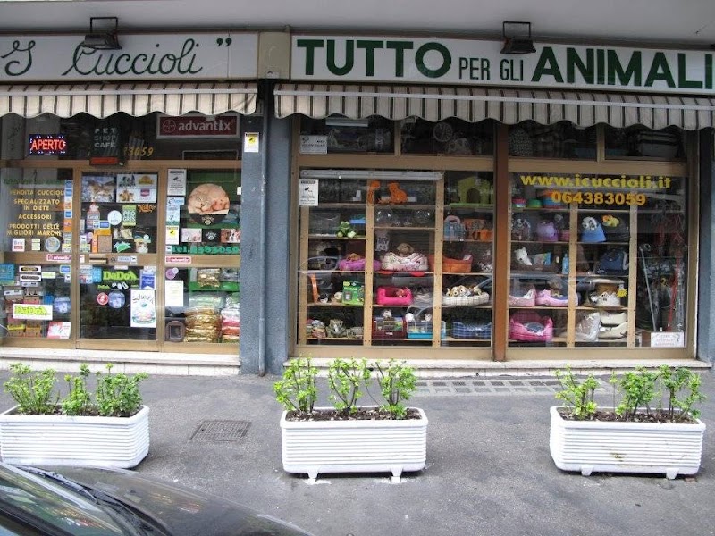 I CUCCIOLI Di Paolo Cavalcanti - NON VENDIAMO ANIMALI