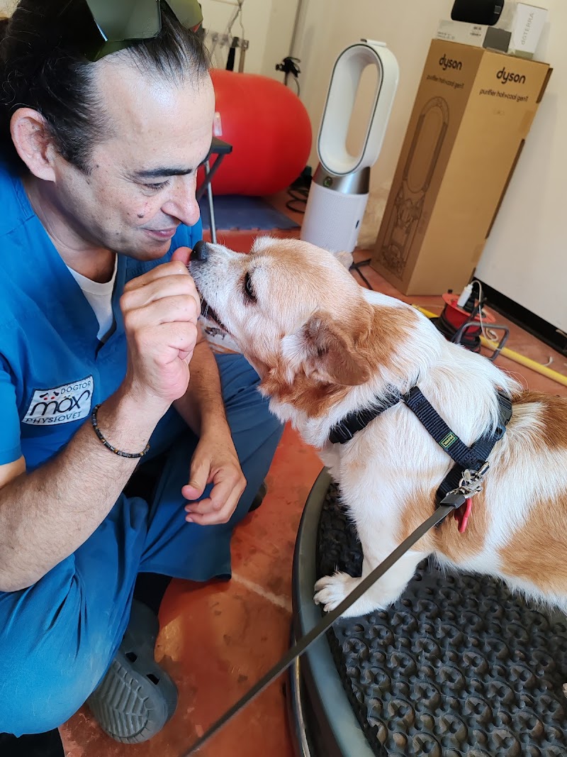 Dogtor Max