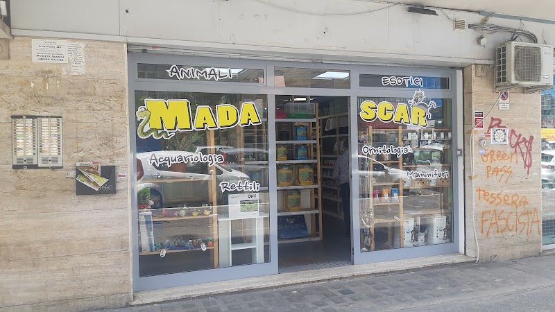 Jurassic Store