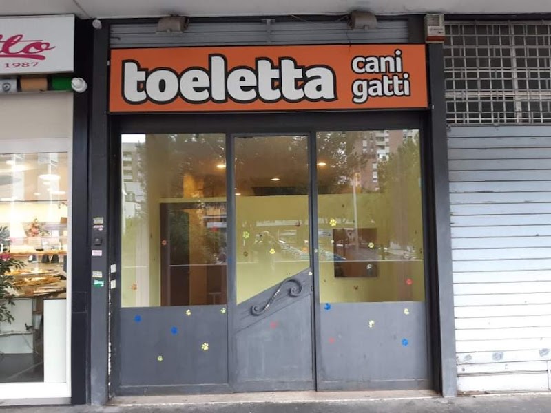 TOELETTA CANI & GATTI DI CARLO DI MARIA