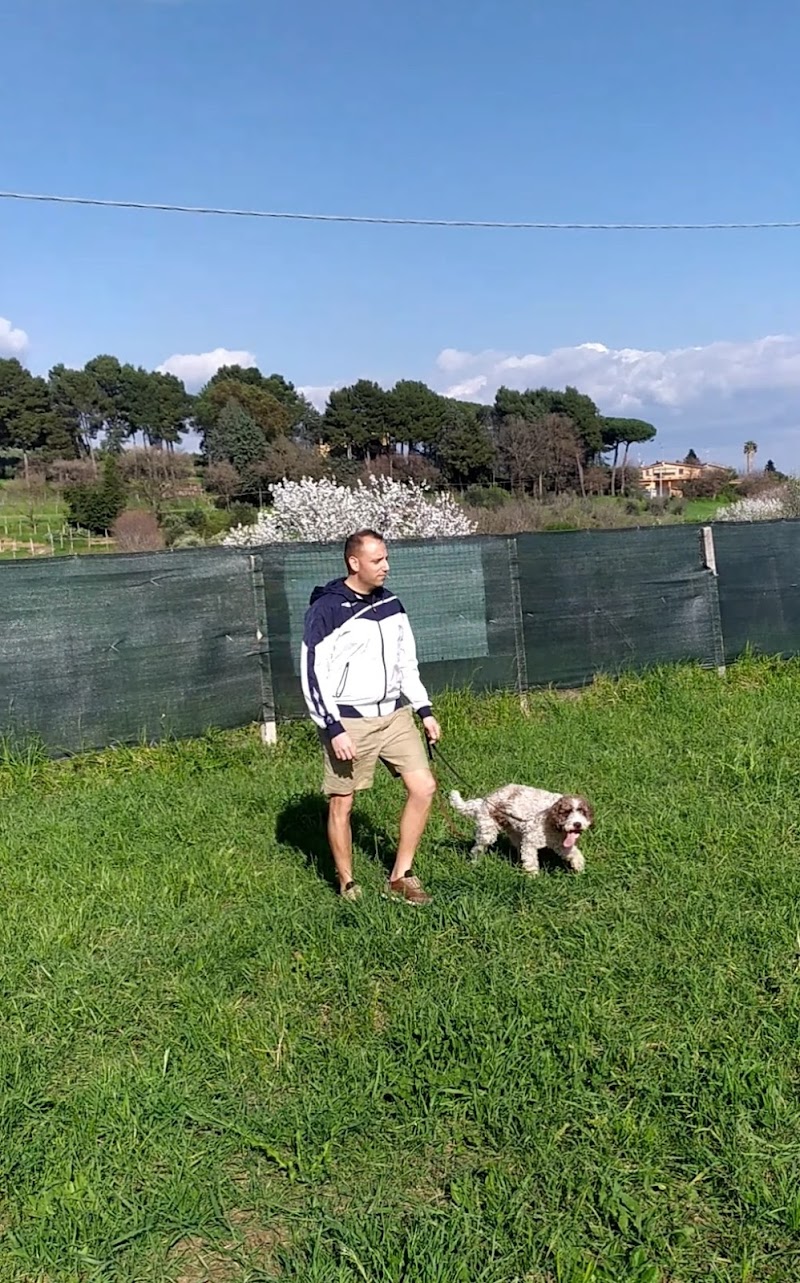 Addestramento Cinofilo Colonna
