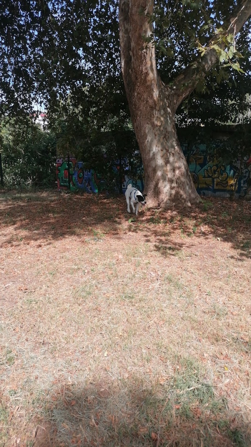 Area cani Mascagni