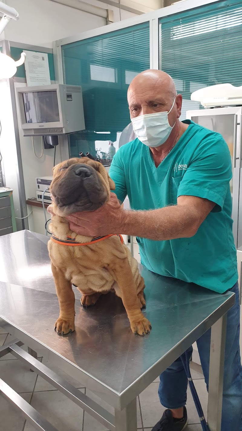 Ambulatorio Veterinario Dr. Alessandro Criniti