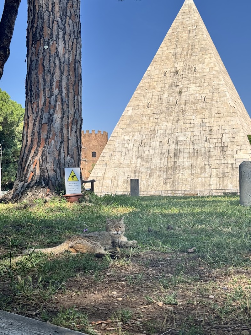 Cats of the Pyramid (Gatti della Piramide)