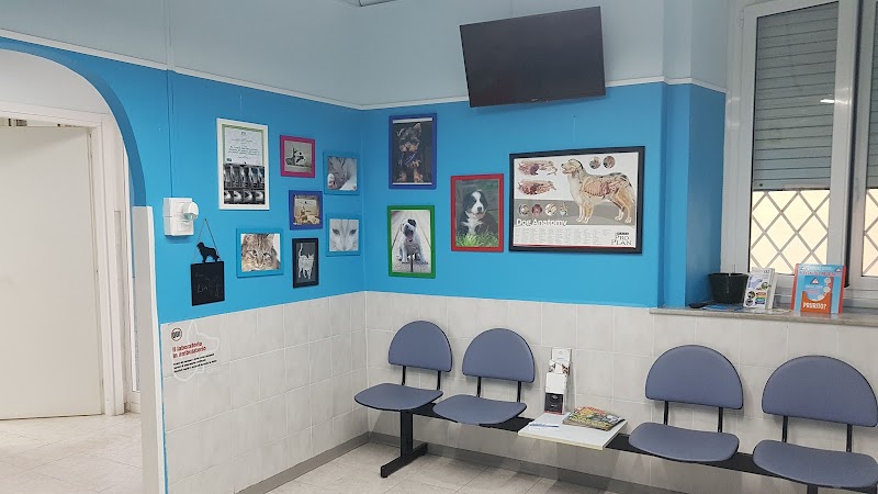 Vescovio Veterinary Clinic