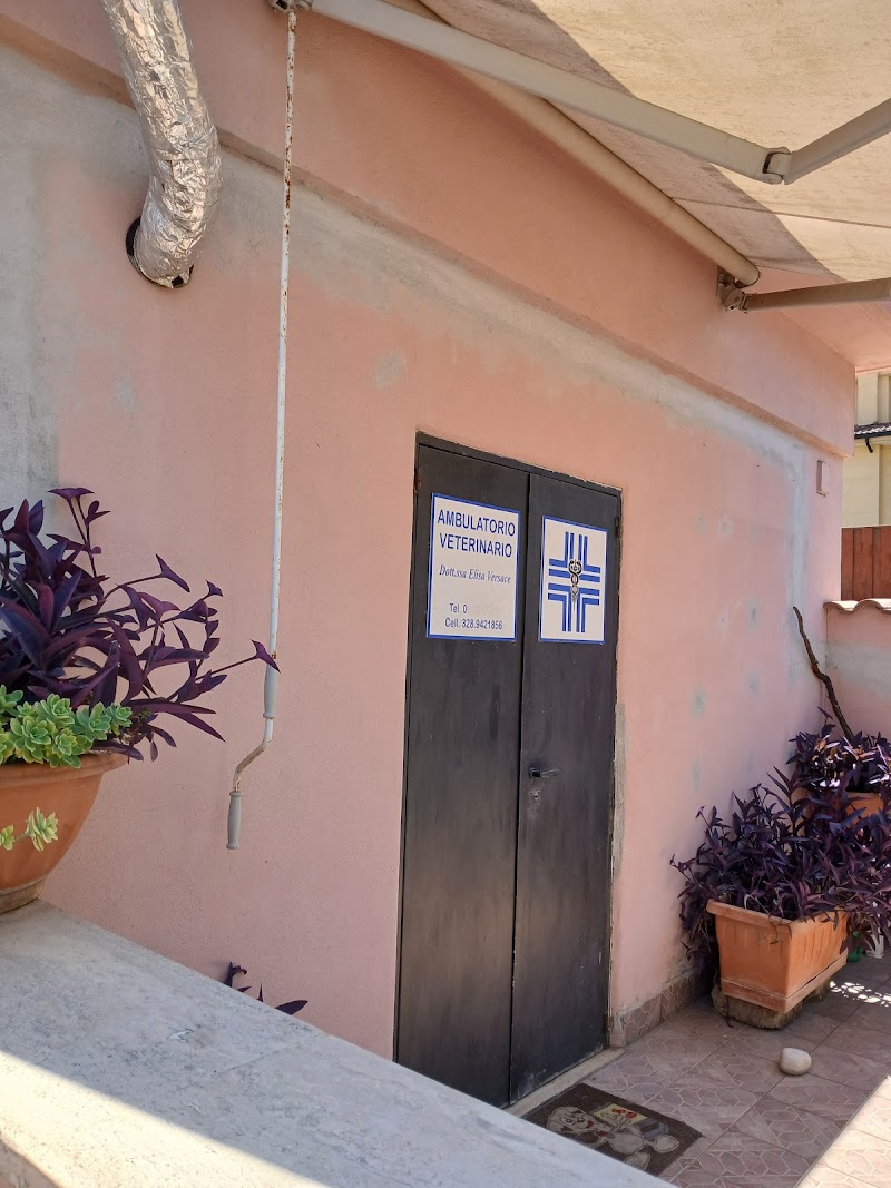 Ambulatorio VETERINARIO Corcolle