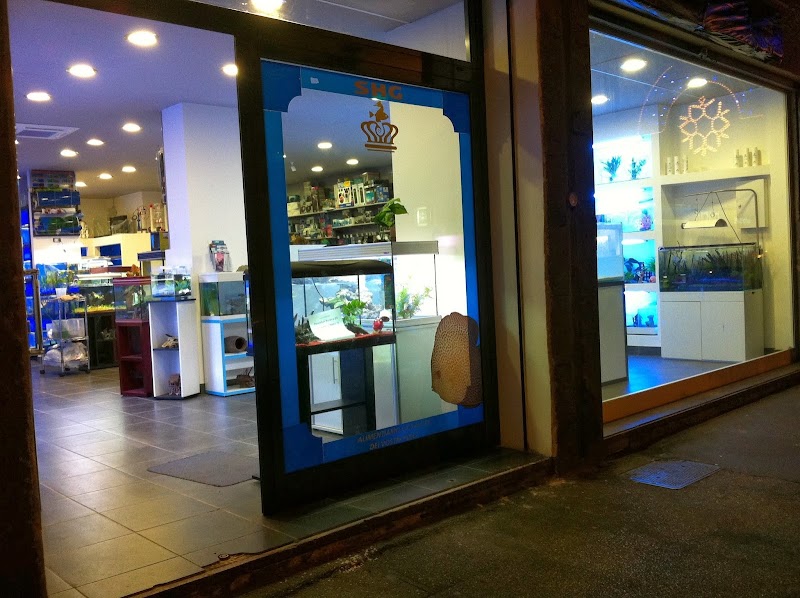 H2o Aquarium Rome
