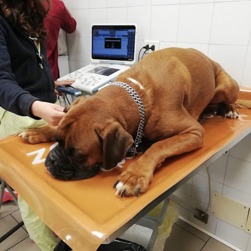 Clinica Veterinaria Zagarolo - Gruppo Ca' Zampa