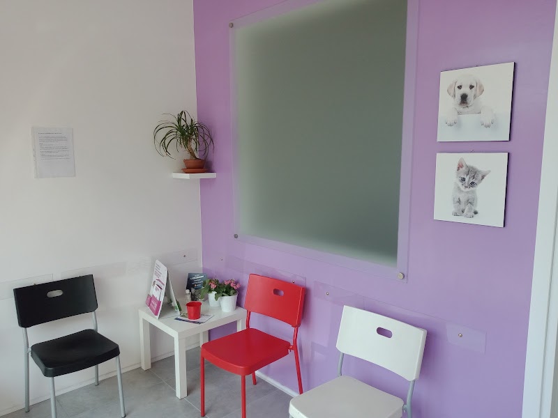 Ambulatorio Veterinario Ciampino Dott.ssa Gandolfi