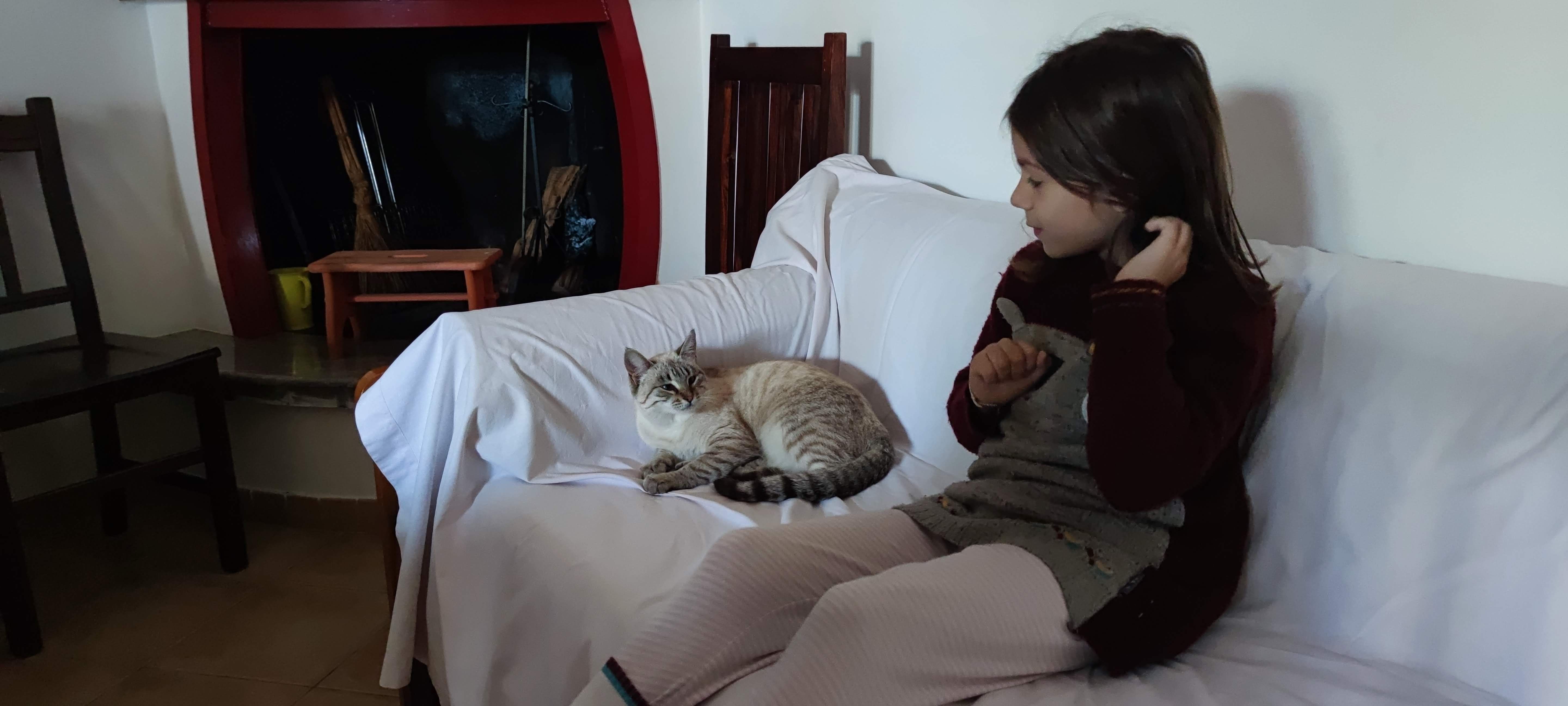Gattamente: Cat sitter e Consulente della Relazione Felina